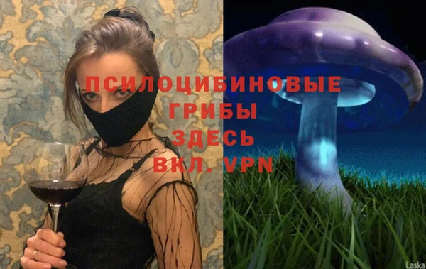 мдпв Верхний Тагил