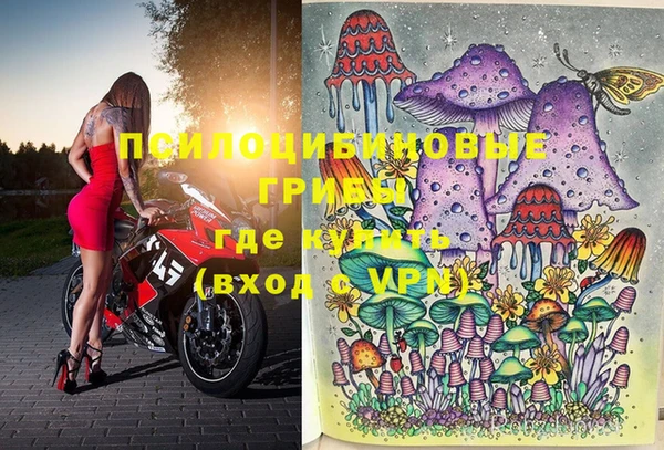 мдпв Верхний Тагил