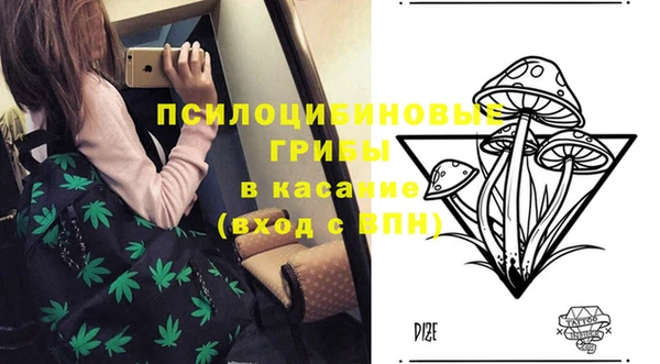 мдпв Верхний Тагил